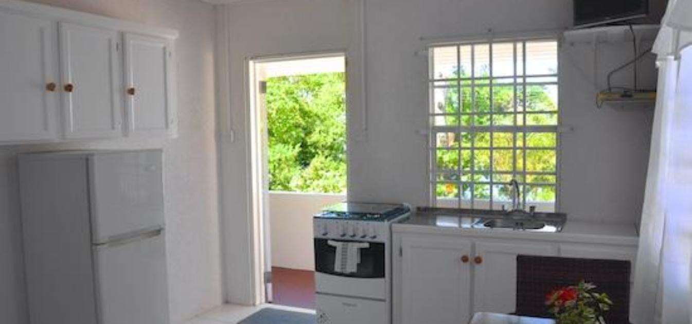 vacation-rentals/st-vincent-and-the-grenadines/bequia/lower-bay/keegan's-studio-octopus