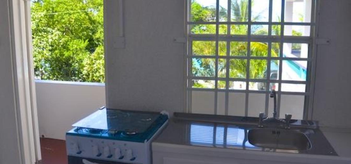 vacation-rentals/st-vincent-and-the-grenadines/bequia/lower-bay/keegan's-studio-octopus