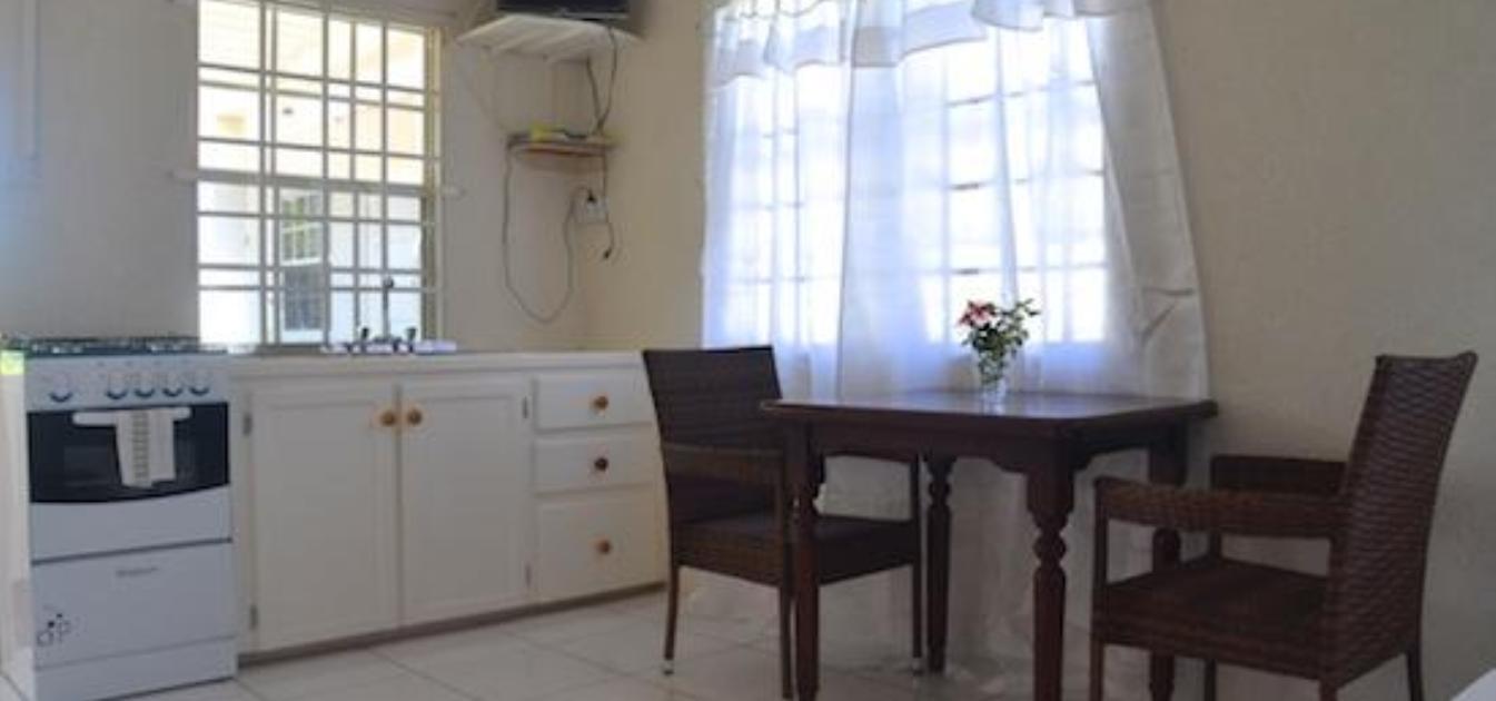 vacation-rentals/st-vincent-and-the-grenadines/bequia/lower-bay/keegan's-studio-octopus