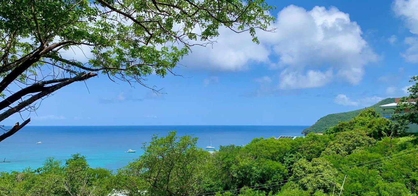 Lower Bay Beach View Land