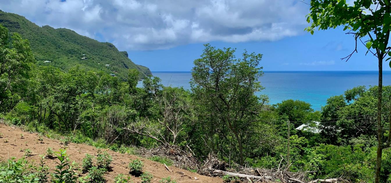 Lower Bay Beach View Land