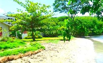 Waterfront Apartment