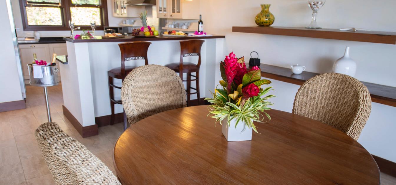 vacation-rentals/st-vincent-and-the-grenadines/canouan/canouan/where-else-villa