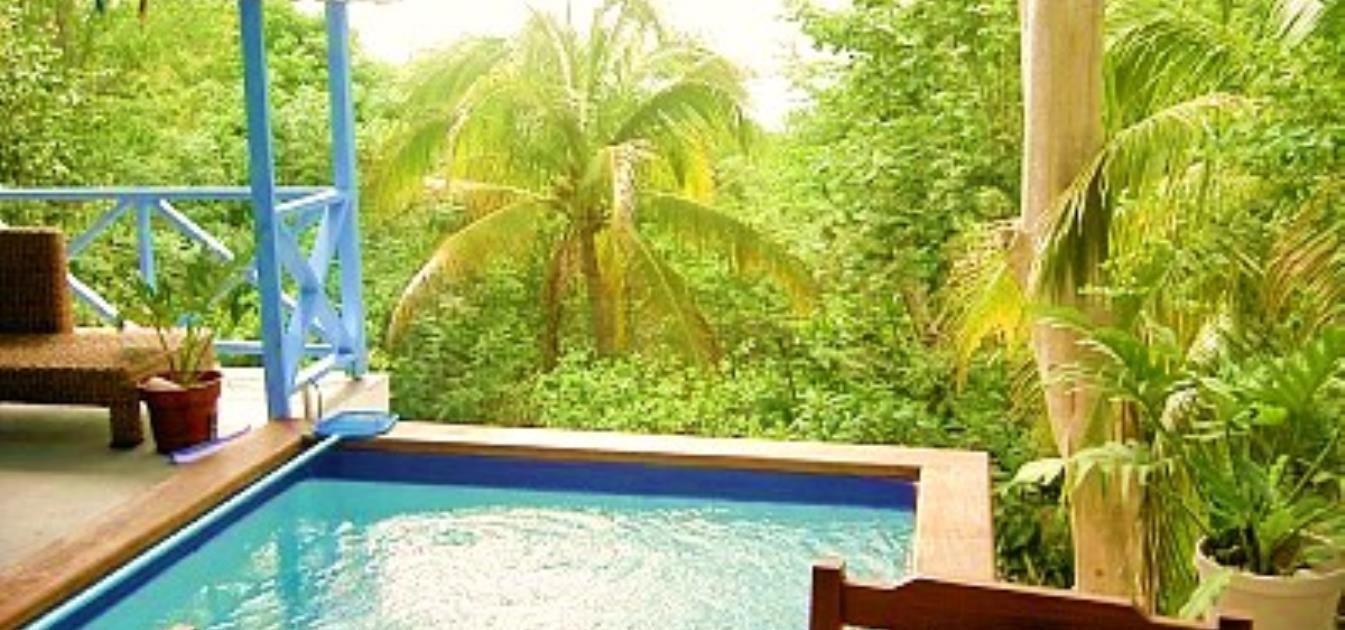 vacation-rentals/st-vincent-and-the-grenadines/bequia/belmont/barefoot-suite