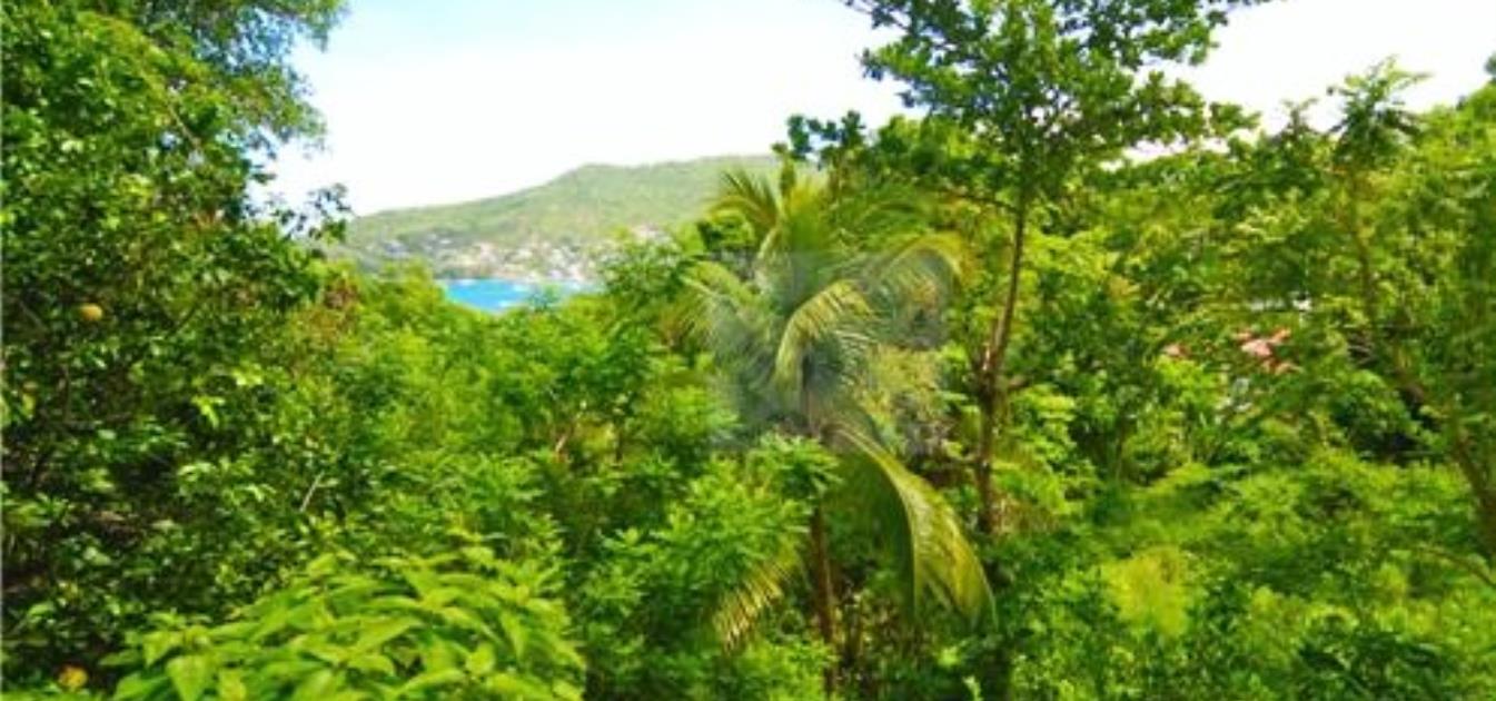 vacation-rentals/st-vincent-and-the-grenadines/bequia/belmont/barefoot-suite
