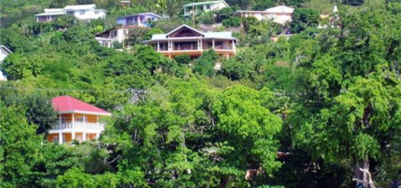 vacation-rentals/st-vincent-and-the-grenadines/bequia/lower-bay/sweet-mango
