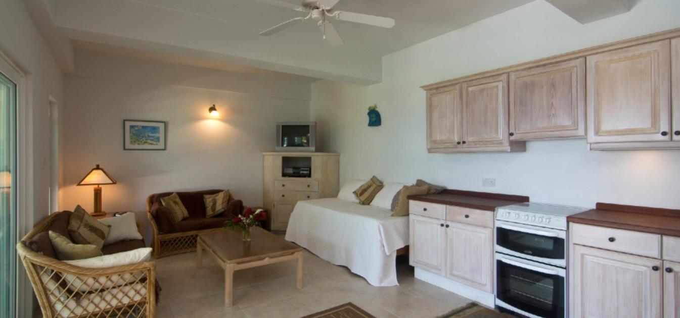 vacation-rentals/st-vincent-and-the-grenadines/bequia/spring/bay-tree-pool-suite