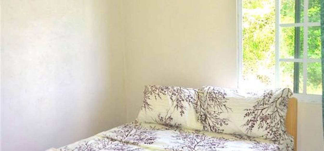 vacation-rentals/st-vincent-and-the-grenadines/bequia/belmont/alexander's-cottage