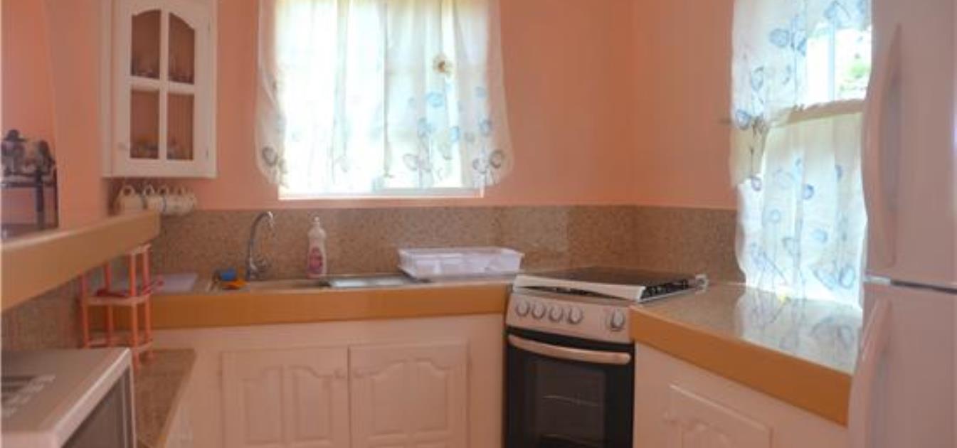 vacation-rentals/st-vincent-and-the-grenadines/bequia/port-elizabeth/park-view-apartment-upper