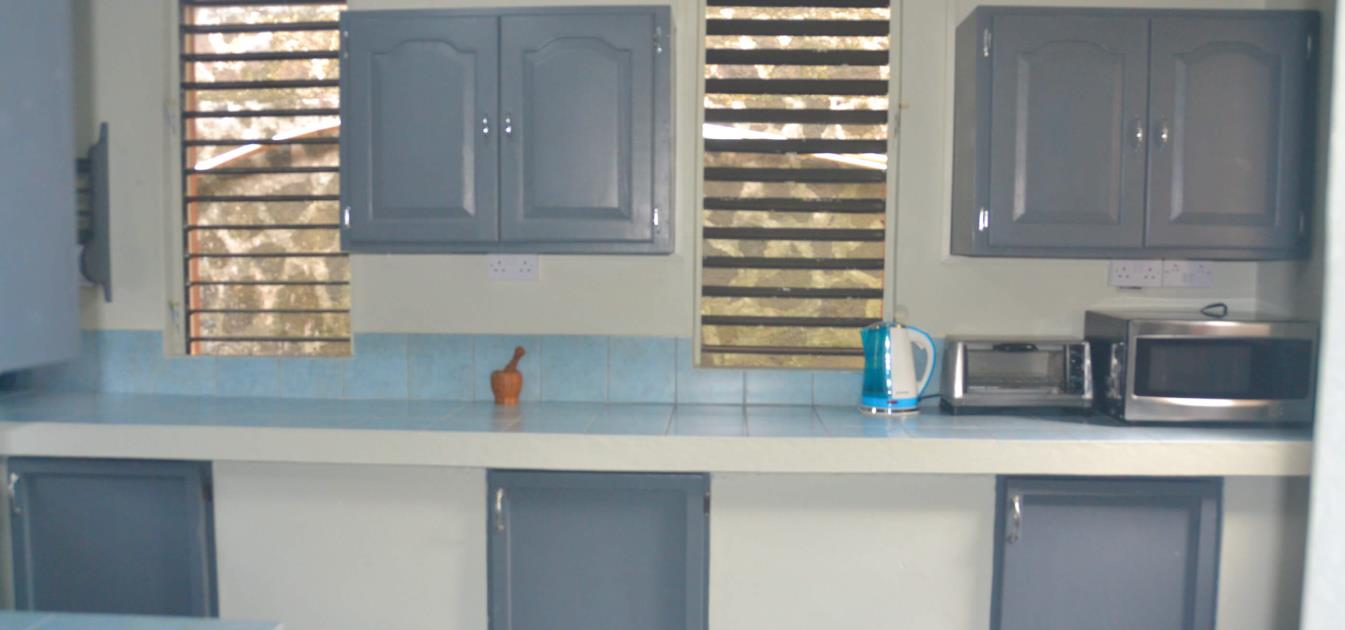 vacation-rentals/st-vincent-and-the-grenadines/bequia/friendship-bay/molly's-ocean-view-house