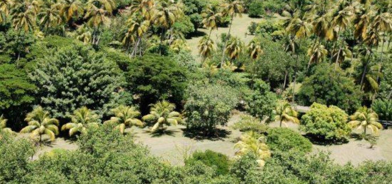 Industry Land Lot