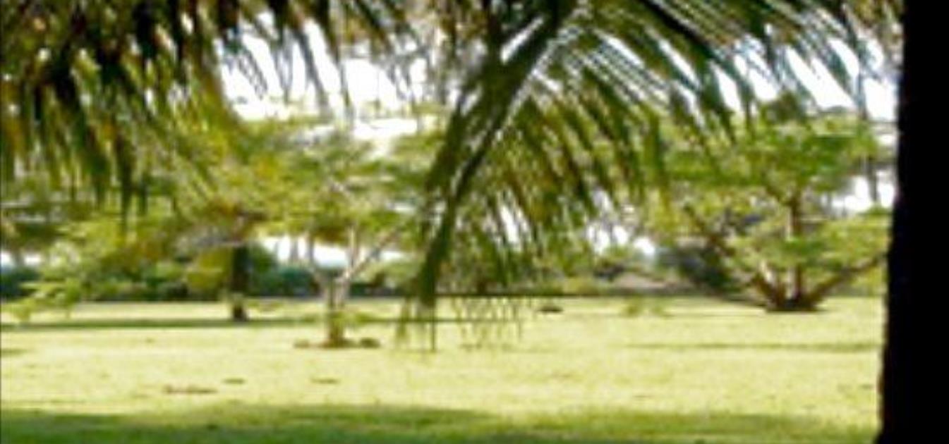 Industry Land Lot
