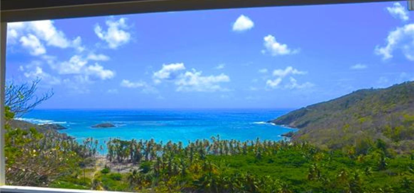 vacation-rentals/st-vincent-and-the-grenadines/bequia/spring/the-loft-studio