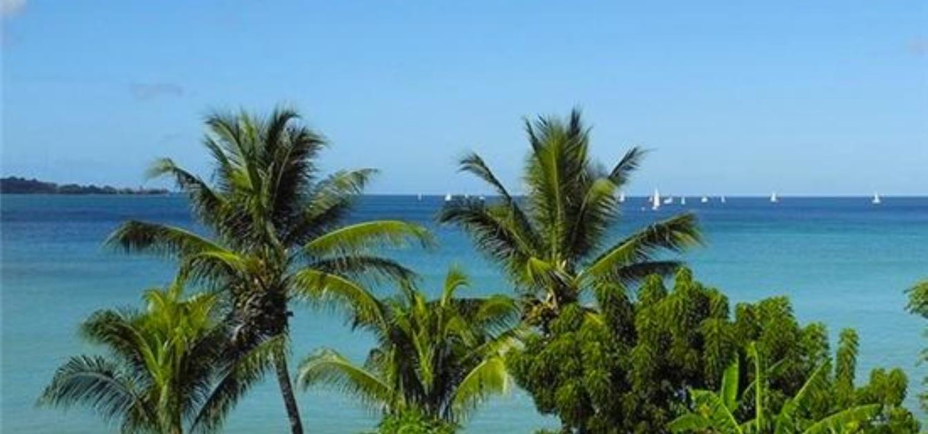 vacation-rentals/grenada/grenada-island/grand-anse/mango-beach-front-garden-apartment