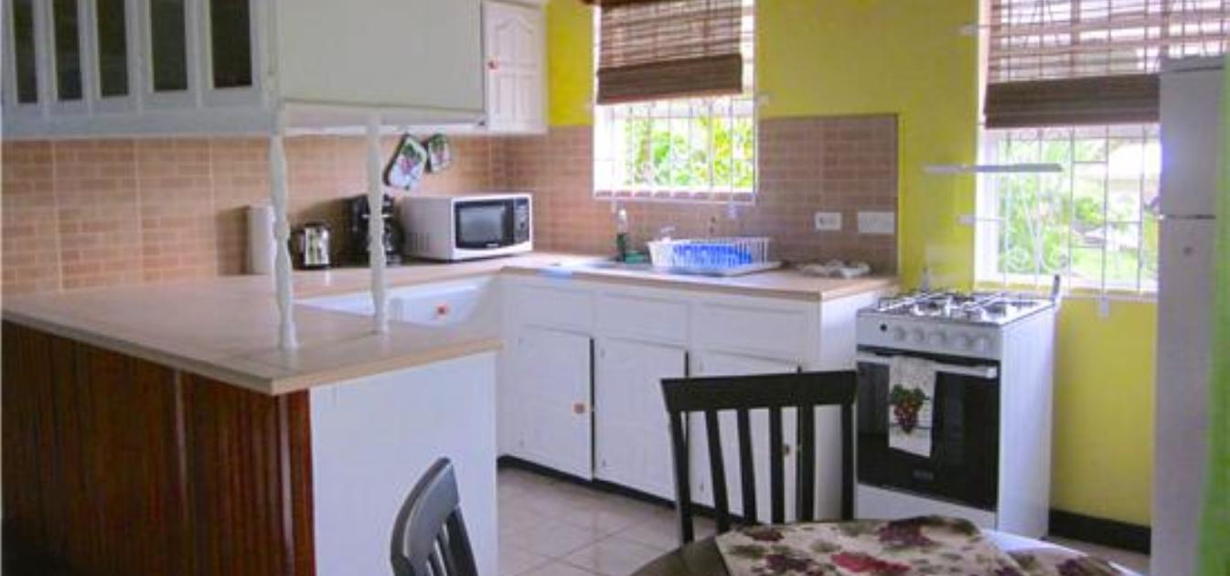 vacation-rentals/st-vincent-and-the-grenadines/st-vincent/arnos-vale/buttercup-cottage-bougainvillea-apt