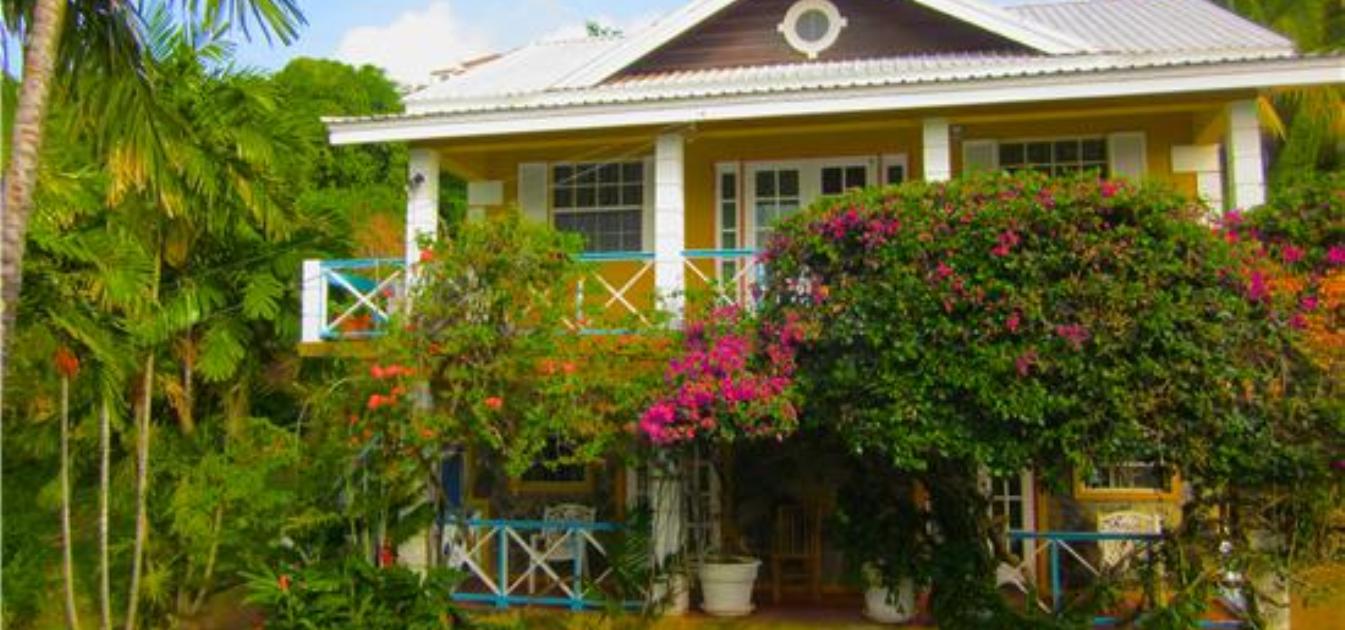 vacation-rentals/st-vincent-and-the-grenadines/st-vincent/arnos-vale/buttercup-cottage-ginger-lily-studio