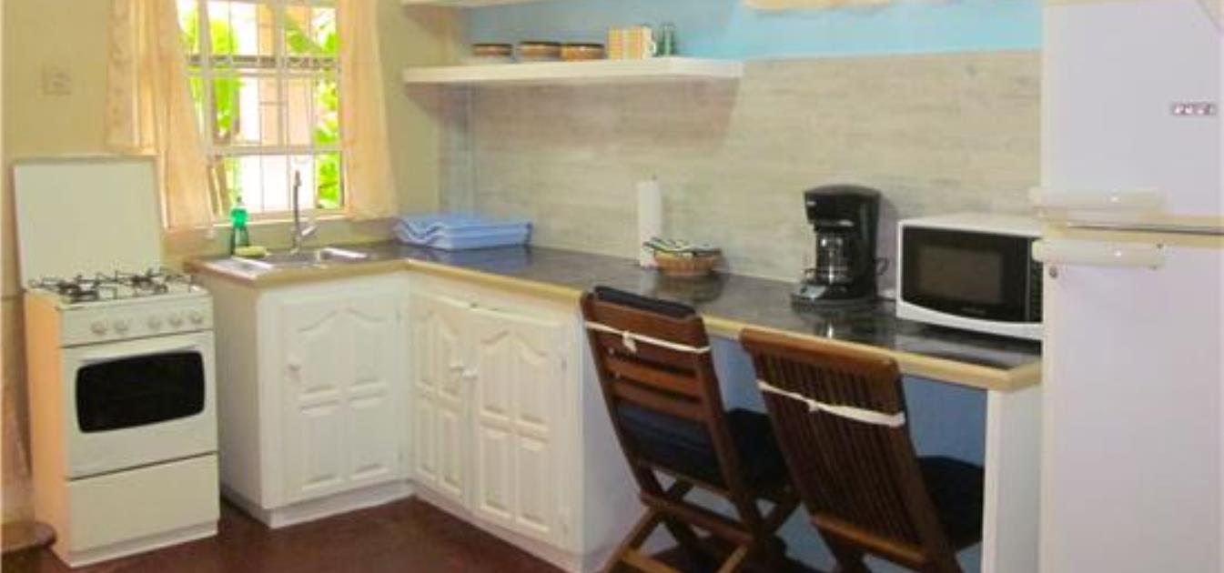 vacation-rentals/st-vincent-and-the-grenadines/st-vincent/arnos-vale/buttercup-cottage-ginger-lily-studio