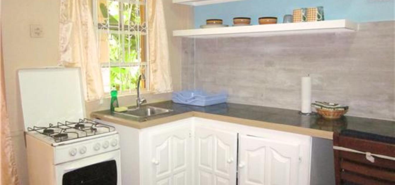 vacation-rentals/st-vincent-and-the-grenadines/st-vincent/arnos-vale/buttercup-cottage-ginger-lily-studio