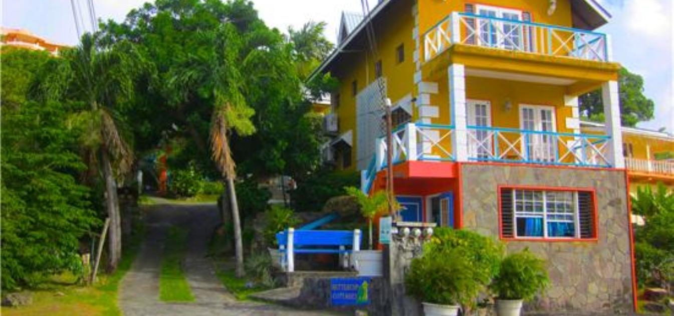 vacation-rentals/st-vincent-and-the-grenadines/st-vincent/arnos-vale/buttercup-cottage-frangipani-apt
