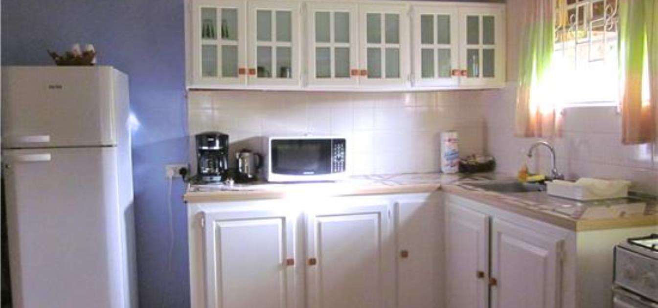 vacation-rentals/st-vincent-and-the-grenadines/st-vincent/arnos-vale/buttercup-cottage-frangipani-apt