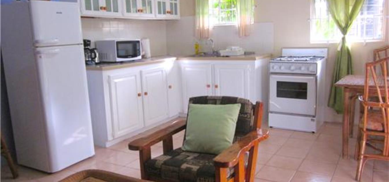 vacation-rentals/st-vincent-and-the-grenadines/st-vincent/arnos-vale/buttercup-cottage-frangipani-apt
