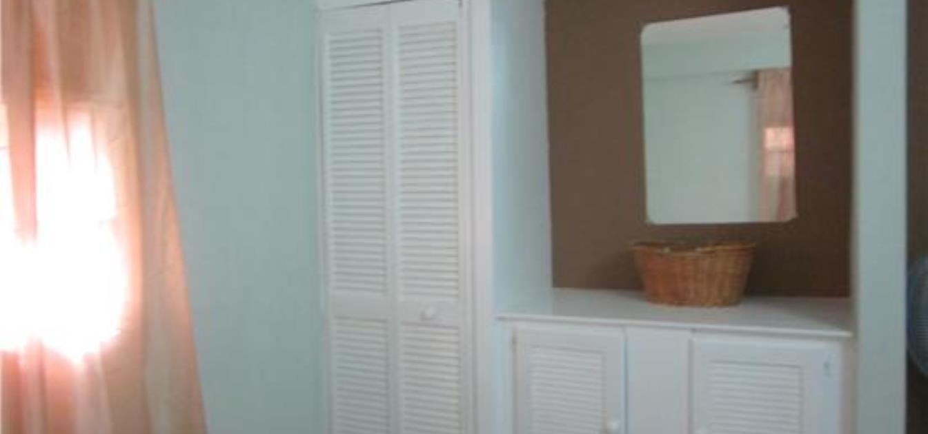 vacation-rentals/st-vincent-and-the-grenadines/st-vincent/arnos-vale/buttercup-cottage-frangipani-apt