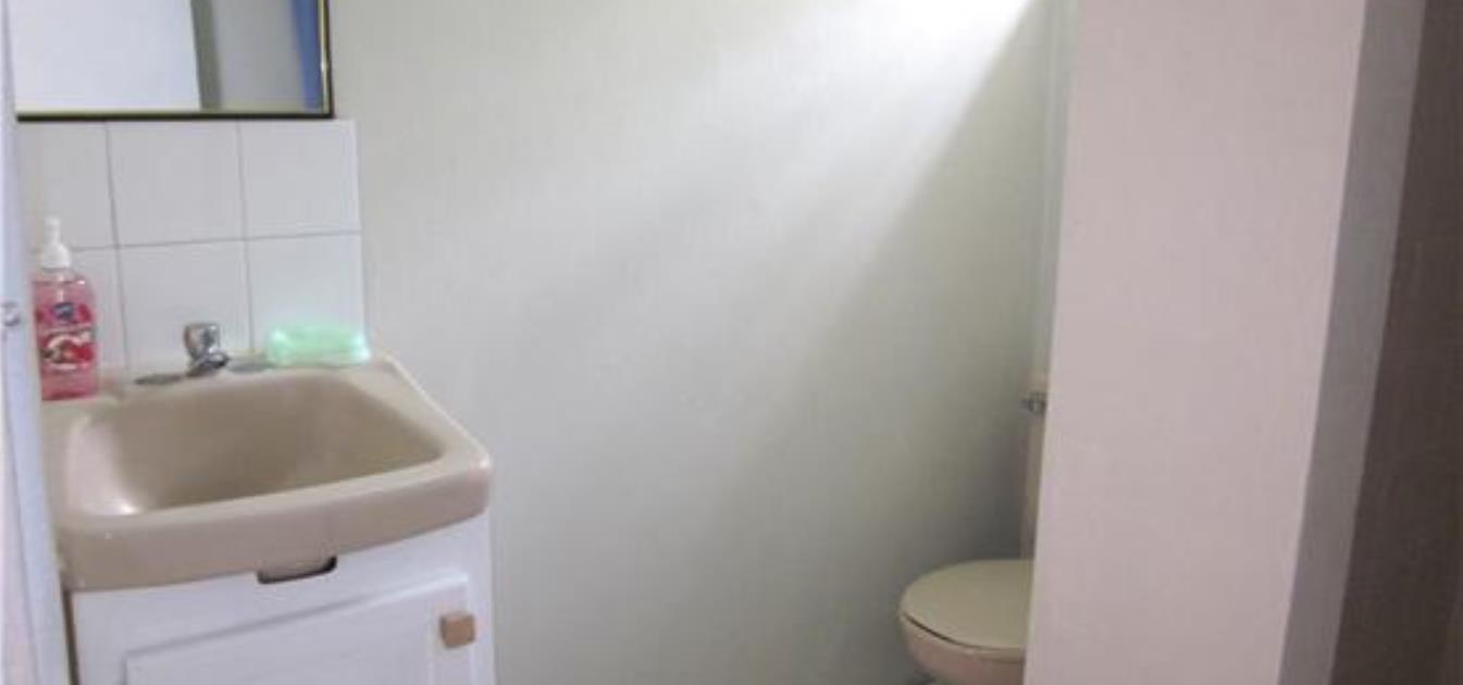 vacation-rentals/st-vincent-and-the-grenadines/st-vincent/arnos-vale/buttercup-cottage-anthurium-apt