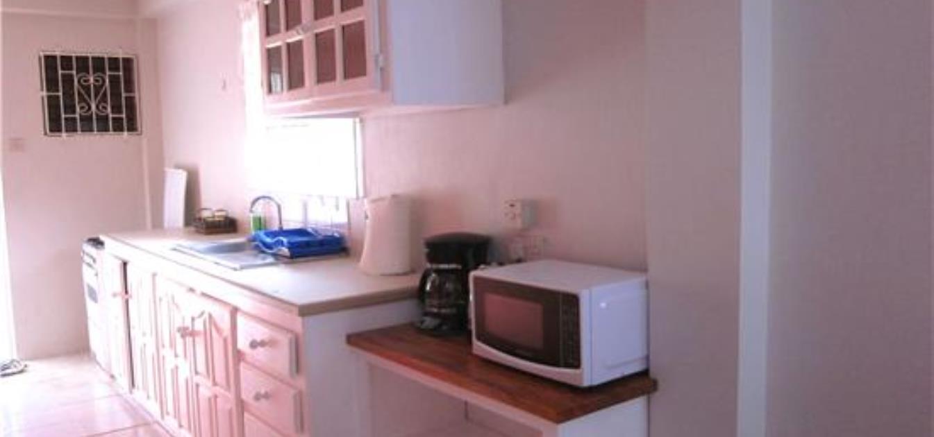 vacation-rentals/st-vincent-and-the-grenadines/st-vincent/arnos-vale/buttercup-cottage-anthurium-apt