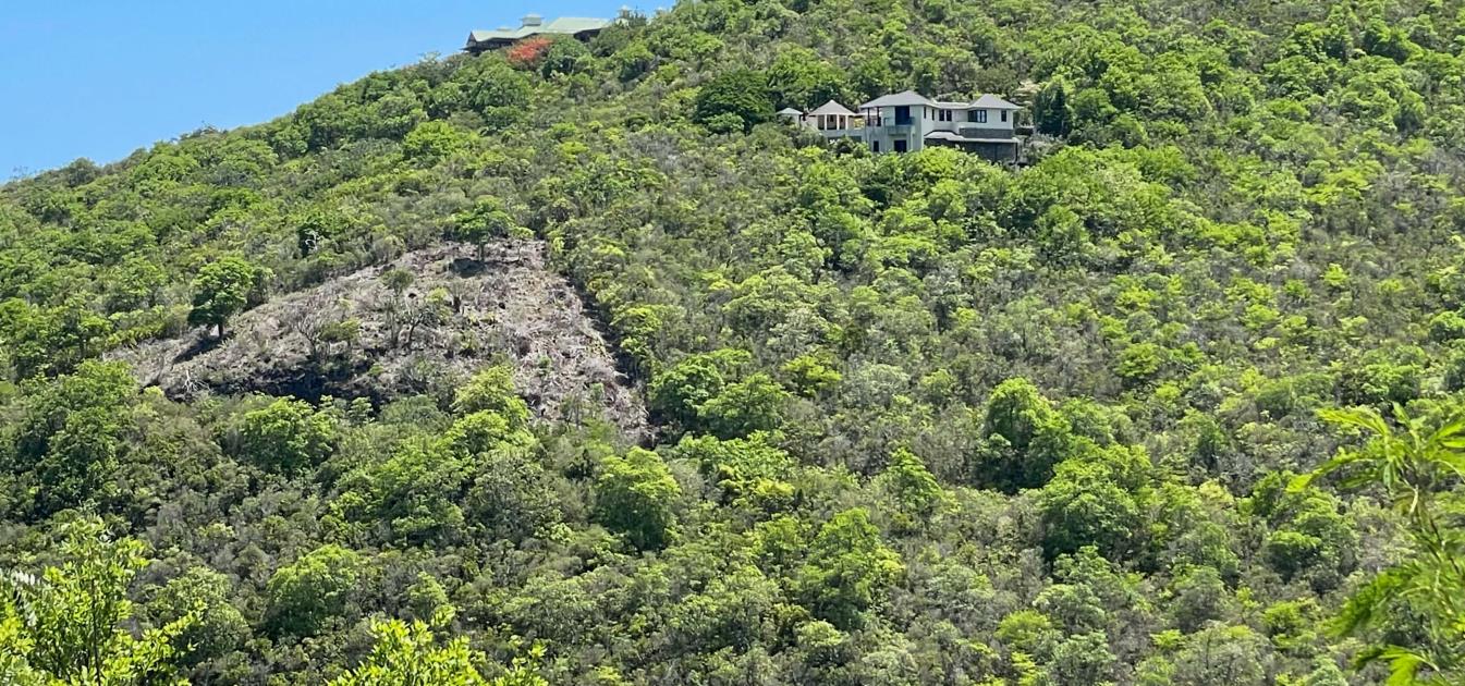 Friendship Heights Lot 30