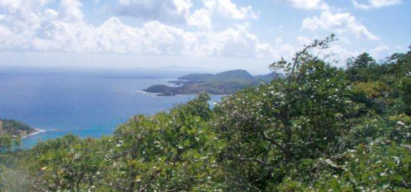 Friendship Heights Lot 30