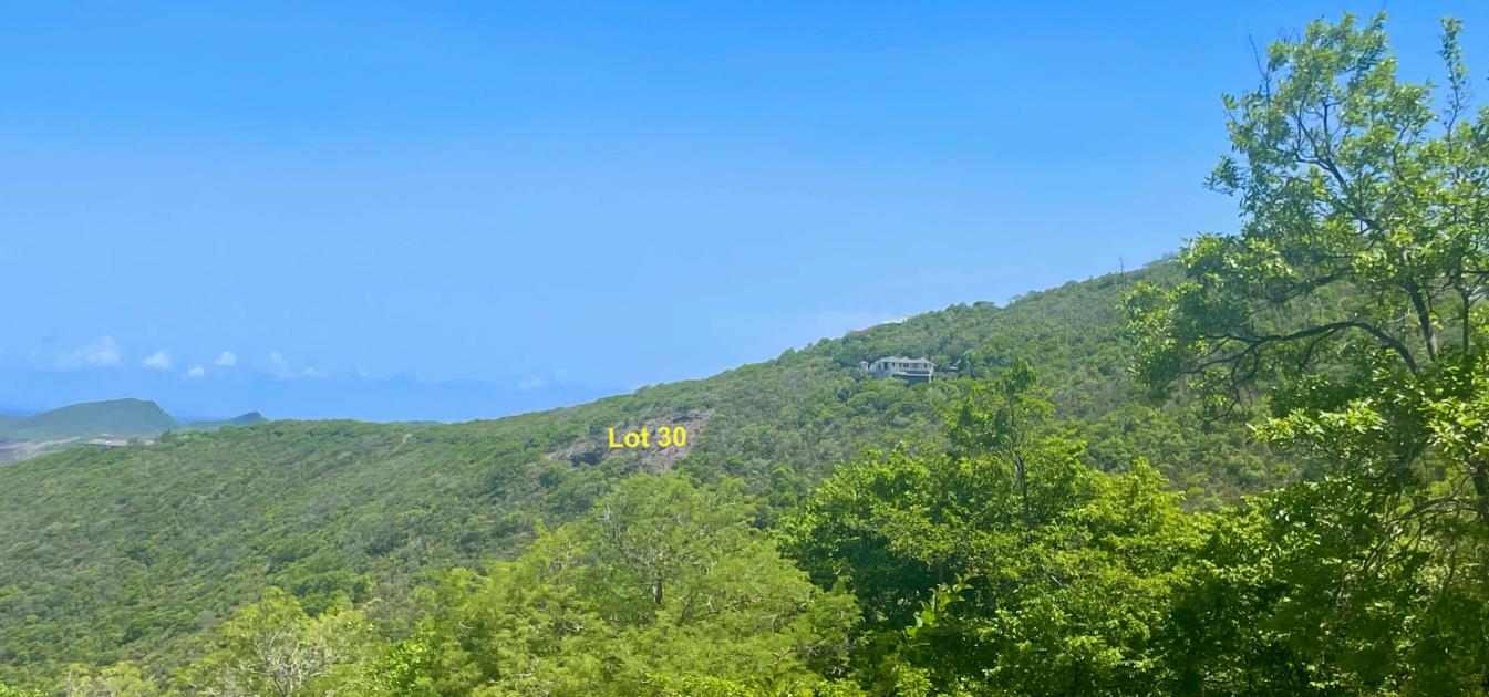 Friendship Heights Lot 30