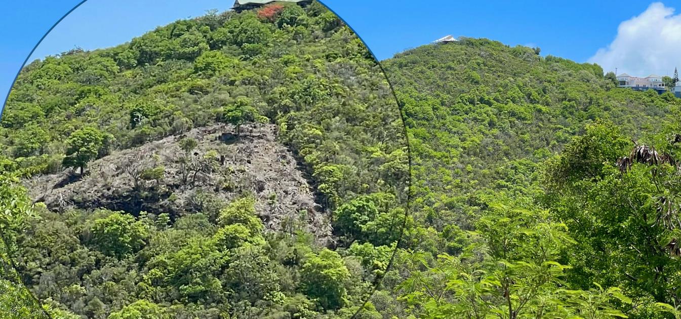 Friendship Heights Lot 30