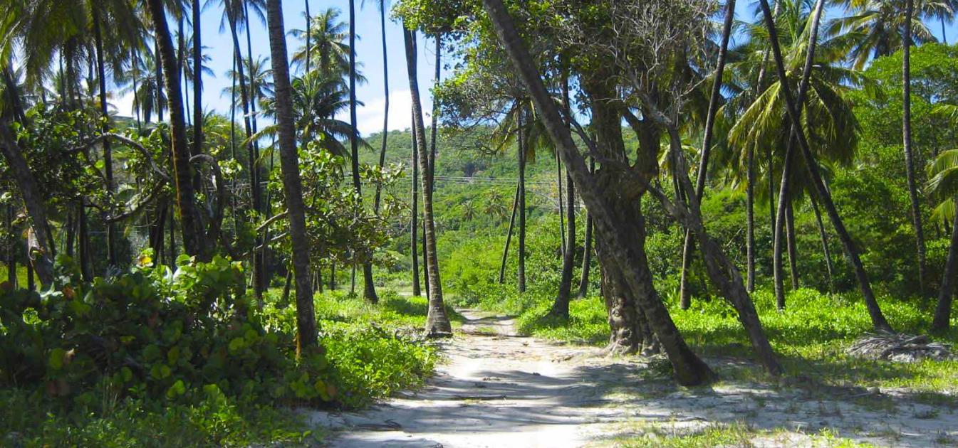 Firefly Hotel and Beach Estate Bequia 25.4 Acres