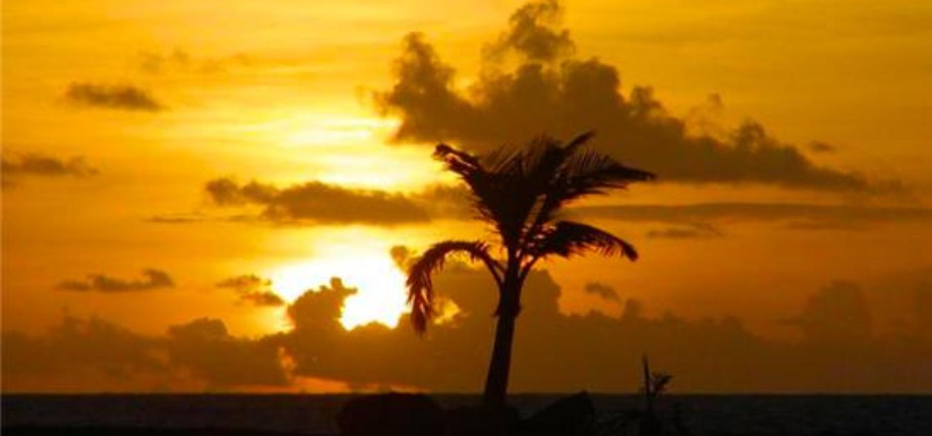 vacation-rentals/barbados/barbados/belair/altamar
