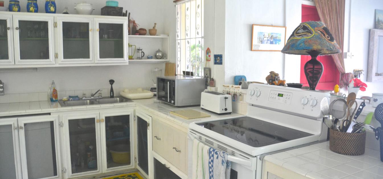 vacation-rentals/st-vincent-and-the-grenadines/bequia/lower-bay/emita-house