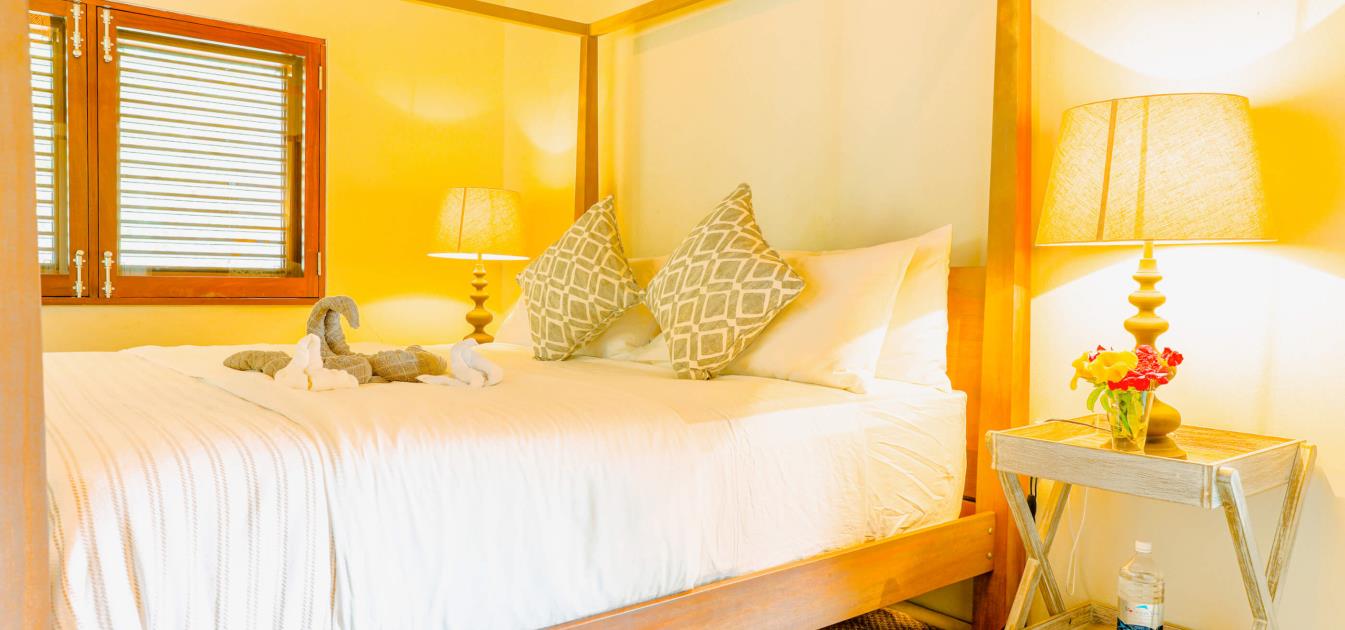 vacation-rentals/st-vincent-and-the-grenadines/bequia/spring/the-pineapple-house