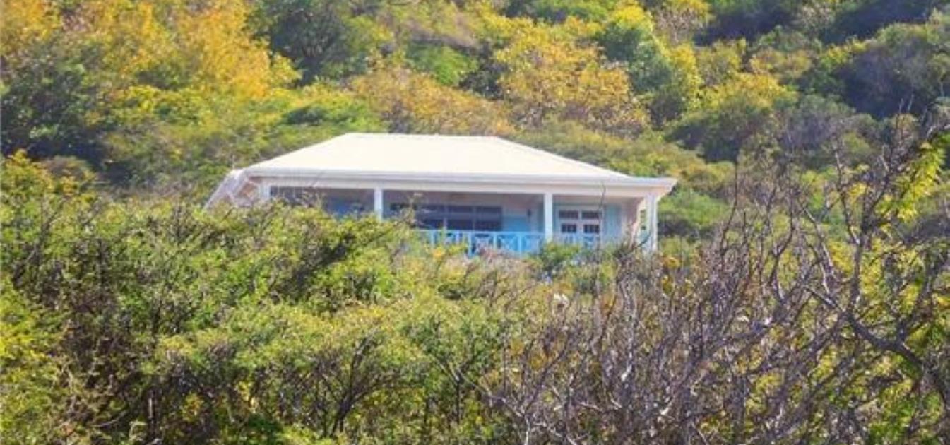 vacation-rentals/st-vincent-and-the-grenadines/union-island/union-island/sur-un-nuage-villa