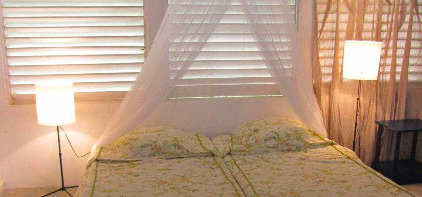 vacation-rentals/st-vincent-and-the-grenadines/palm-island/palm-island/prune-house