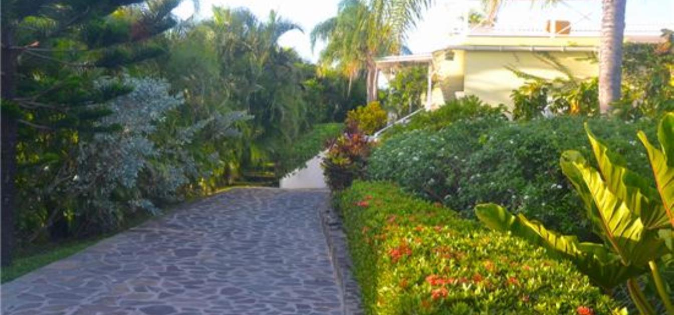 vacation-rentals/st-vincent-and-the-grenadines/bequia/mount-pleasant/palm-villa-apartment