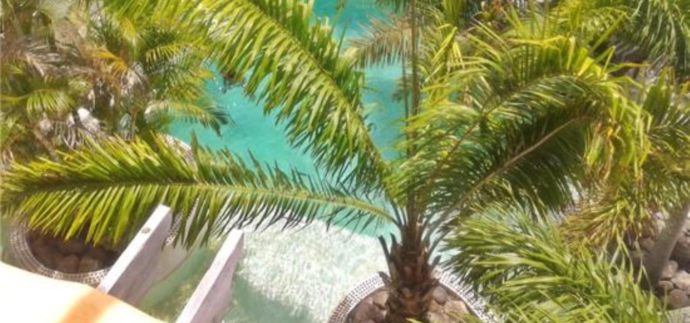 vacation-rentals/grenada/grenada-island/lance-aux-epines/condo-del-cielo