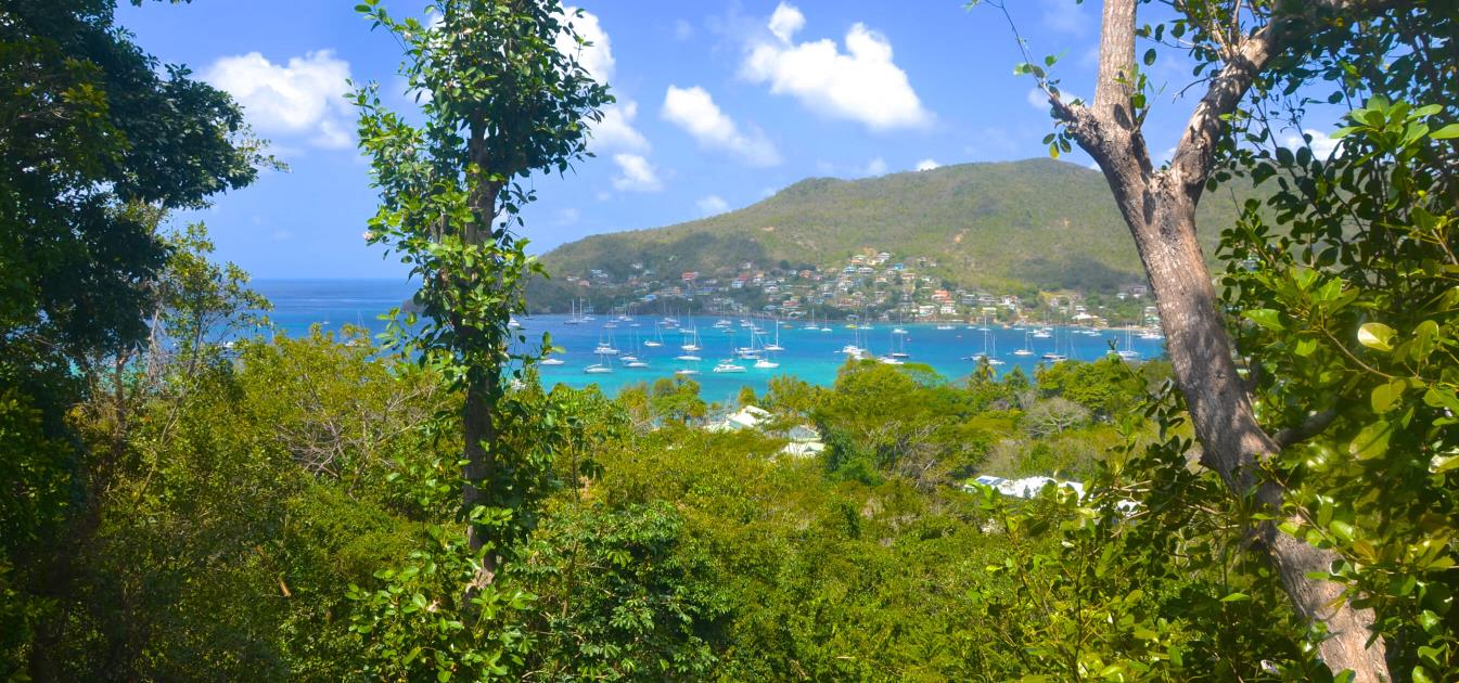 vacation-rentals/st-vincent-and-the-grenadines/bequia/belmont/three-trees