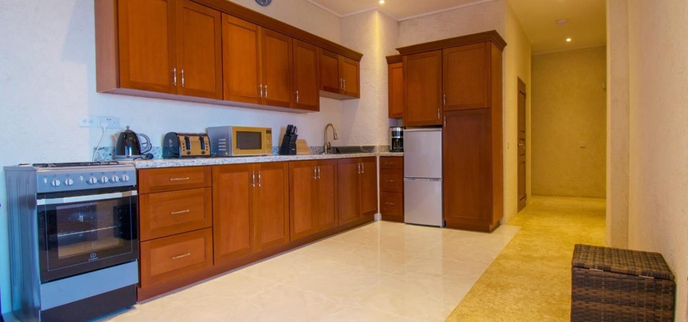 vacation-rentals/st-vincent-and-the-grenadines/bequia/bequia-estates/sunbird-apartments