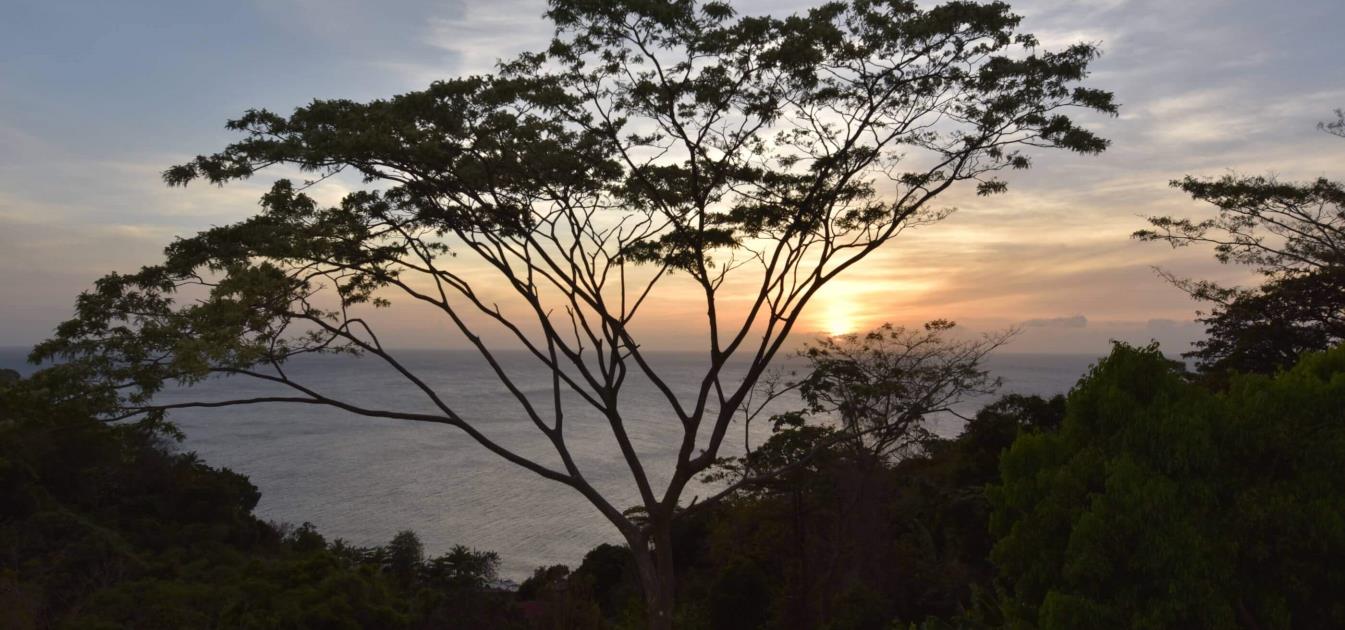 vacation-rentals/grenada/grenada-island/victoria/mount-edgecombe-plantation-nutmeg-room-4