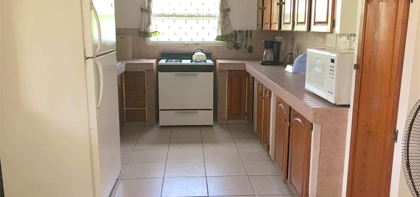 vacation-rentals/grenada/grenada-island/grand-anse/mango-view-apartment