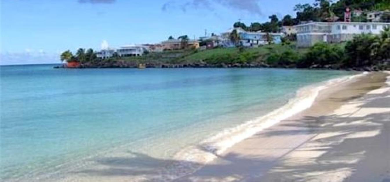 vacation-rentals/grenada/grenada-island/grand-anse/mango-view-apartment