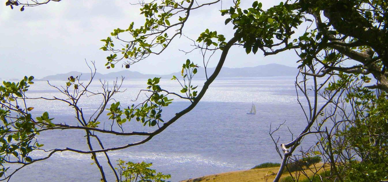 vacation-rentals/st-vincent-and-the-grenadines/bequia/mount-pleasant/cedar-cottage