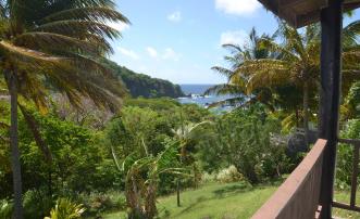 Artist Ocean Reflection Garden Studio Apartment