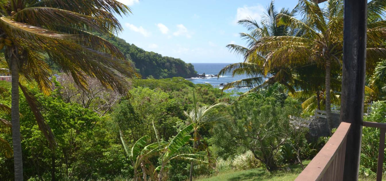 vacation-rentals/st-vincent-and-the-grenadines/st-vincent/brighton/artist-ocean-reflection-garden-studio-apartment