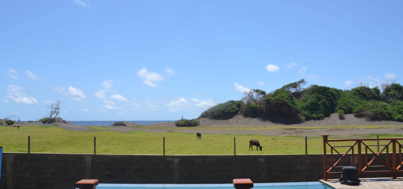 vacation-rentals/st-vincent-and-the-grenadines/st-vincent/brighton/seafan