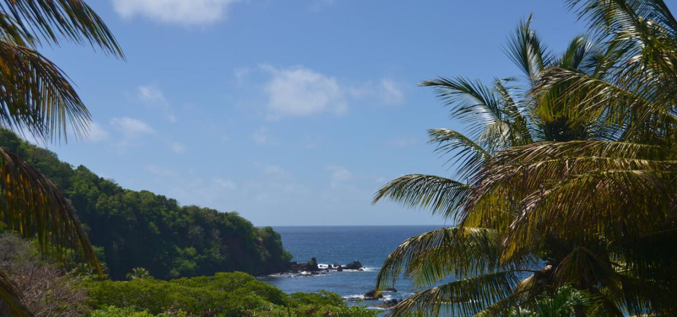 vacation-rentals/st-vincent-and-the-grenadines/st-vincent/brighton/artist-ocean-reflection-villa-and-garden-studio